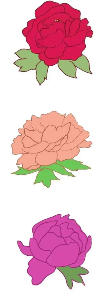 彩色牡丹花简笔画