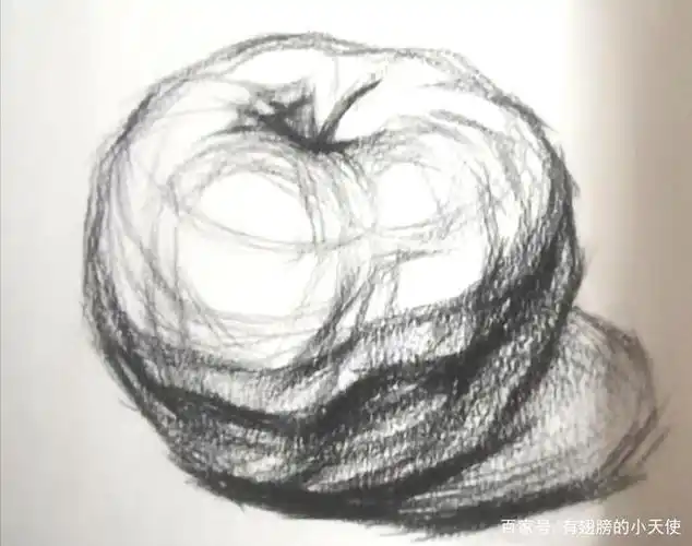 素描静物———苹果分解步骤
