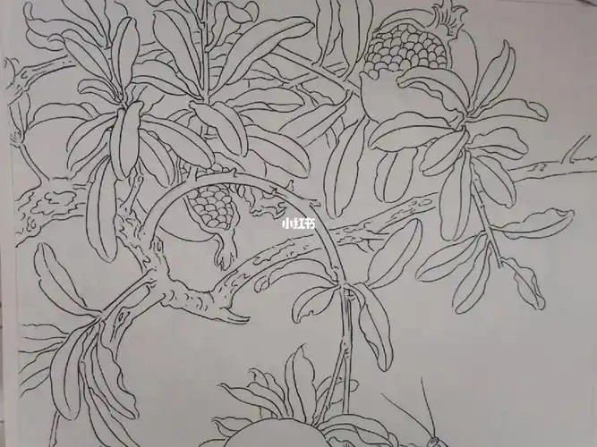 国画工笔  #石榴树