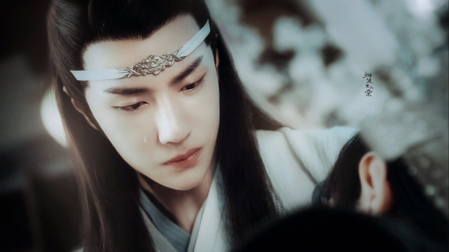 蓝湛- 堆糖,美图壁纸兴趣社区