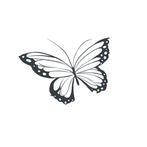 黑白装饰画镂空蝴蝶元素图片