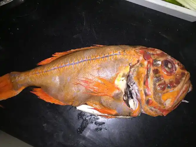 是一种深海鱼.怎么做法?