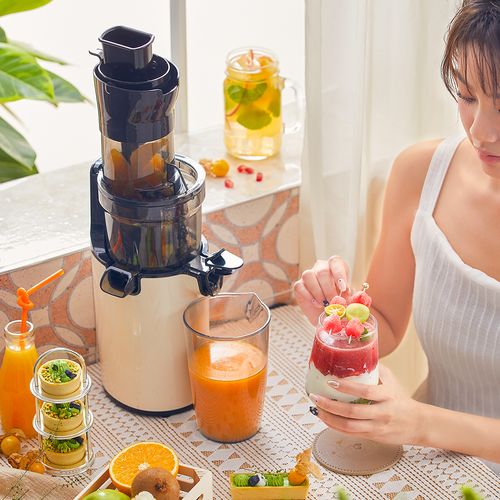 bear/小熊 yzj-c02s5原汁机渣汁分离小型慢榨家用迷你纯果榨汁机