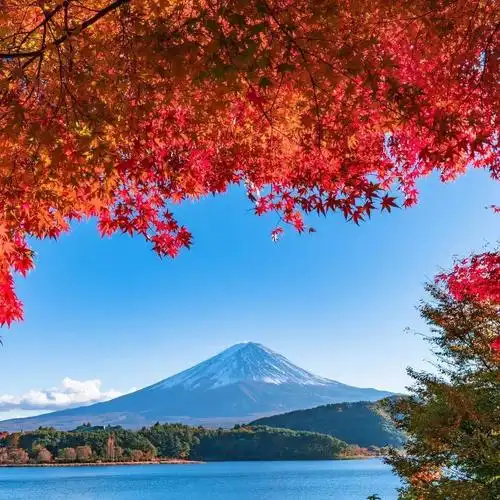 抖音点赞100w朋友圈封面图