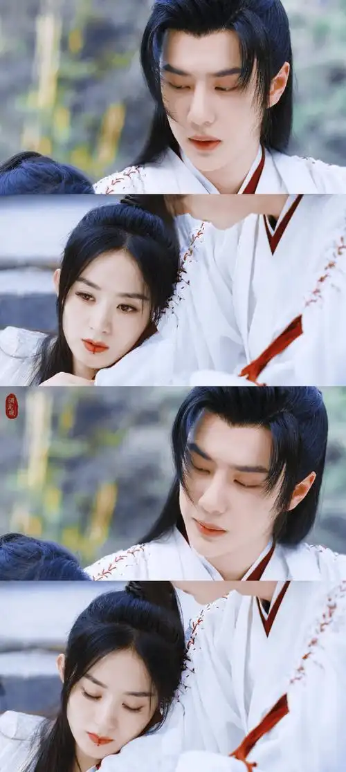 有翡赵丽颖x王一博