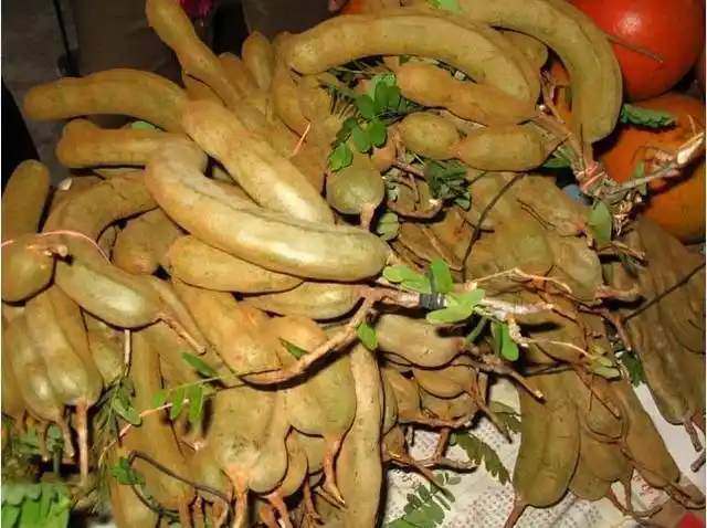 去海南旅行必吃的15种水果