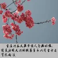 感悟人生的说说配图 感悟人生的句子配图_微信头像图片大全