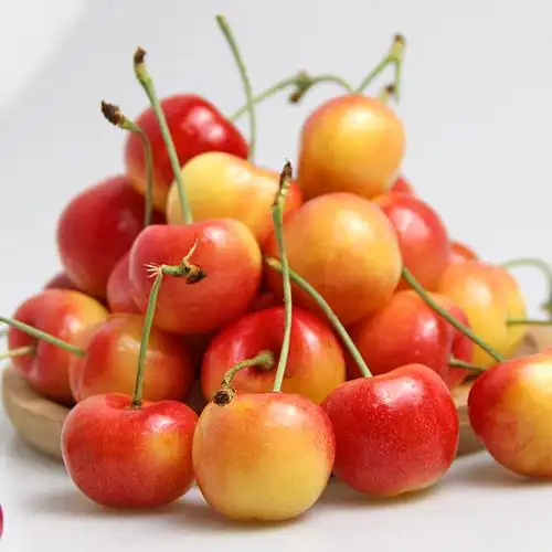5r黄樱桃新鲜水果进口车厘子包顺丰淘宝网