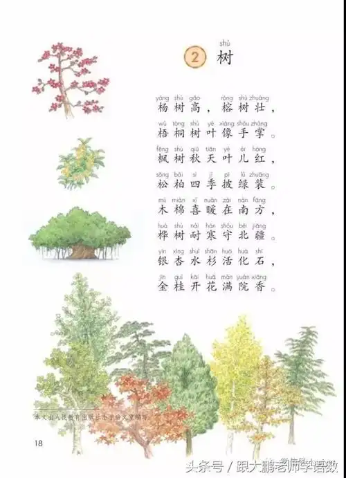 人教版选修二课本电子版新教材(部编版新教材二年级