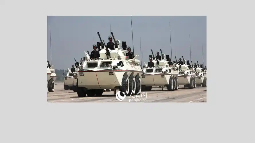 2009年国庆60周年阅兵中的武警装甲车方队.乔天富摄