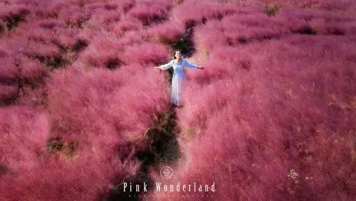 少女心爆棚的粉色仙境!
