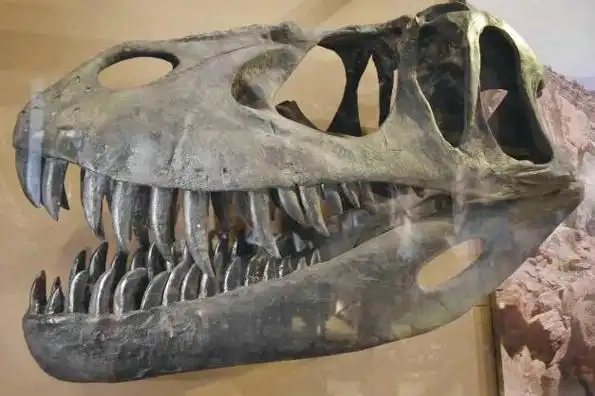 侏罗纪公园巴洛龙(侏罗纪之王蛮龙)(4)