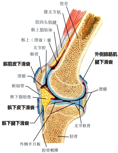 运动导致膝关节慢性疼痛的应对方案