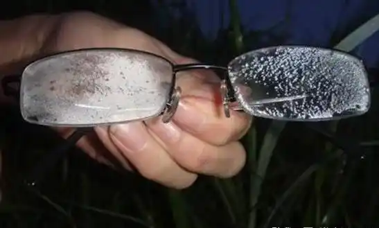 四眼星人的日常你中了几枪