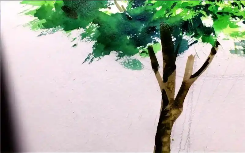 【搬运】【柴崎春通】【水彩教程】教你5分钟画好一棵树_哔哩哔哩 (゜