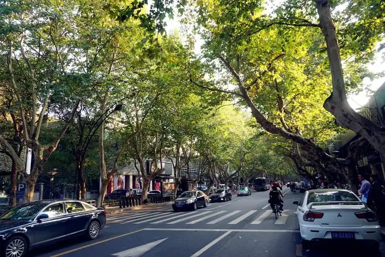 南山路是一条非常小资的街道不是很宽两旁连荫的行道树充斥各类特色的