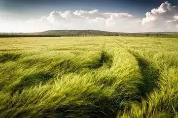 『万历十五年』:大风起于青萍之末