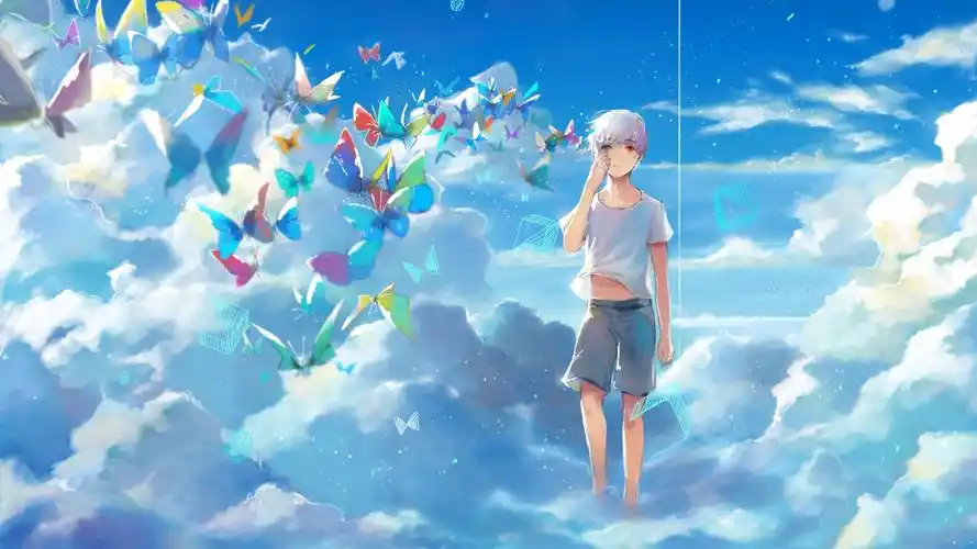 动漫,卡通男生,唯美,蝴蝶,少年的梦壁纸