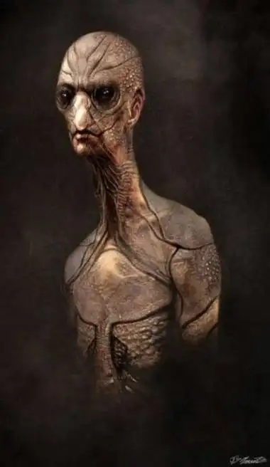 最新研究发现的外星人照片