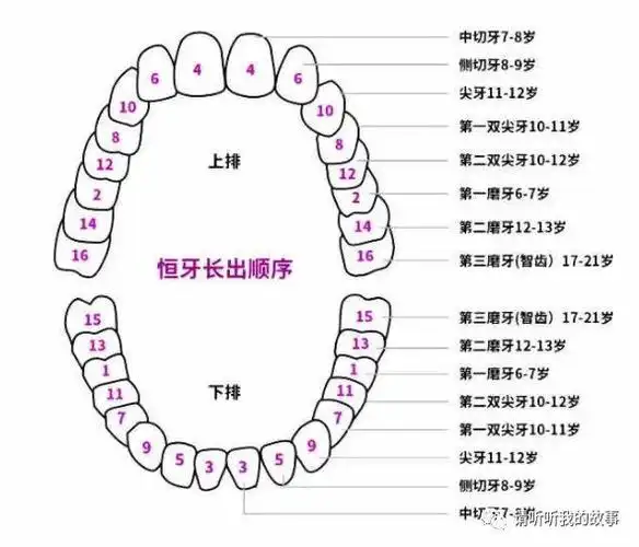 后疫情时代的自我重构牙齿健康是父母的责任