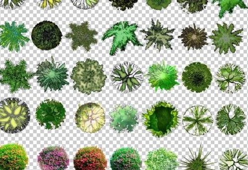 制作总平面素材(行道树 铺装 分析图标)psd