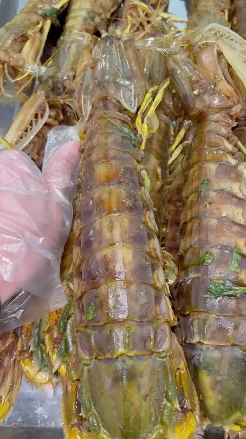 超级大皮皮虾,一只250元起步,全国快递不包邮.