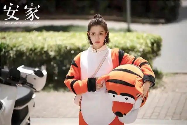 安家豆瓣剧评(安家这部电视剧的观后感)_手工miao