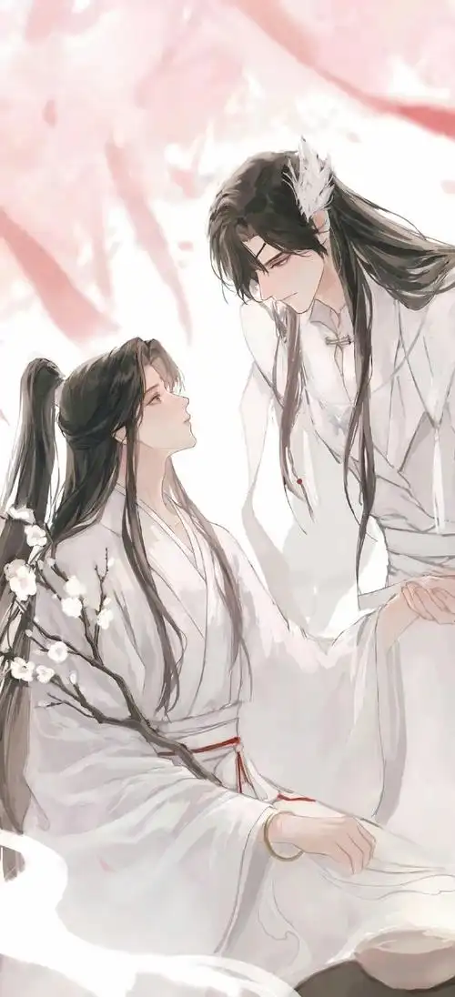 天官赐福花怜壁纸