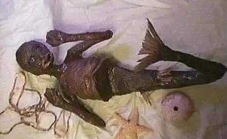 美人鱼真身恐怖吓人带你欣赏真实美人鱼图片慎入