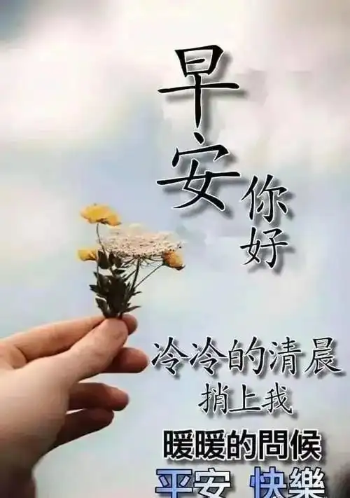 早晨好问候语录暖心句子送给你清晨慰问朋友的早上好祝福句子