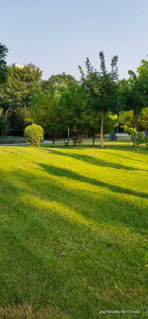 阳光明媚的绿茵公园