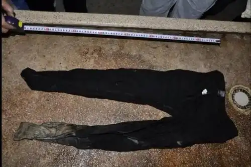 诡异命案广东郊外恶臭连连近看行李箱里装着一具高度腐烂的女尸