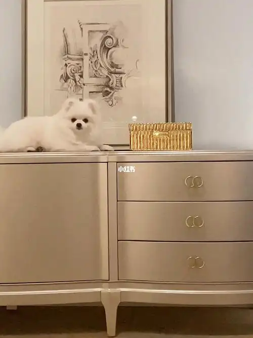 华美法罗轻奢香槟金美式斗柜