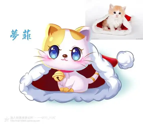 猫咪照片转q版【墨非凡画坊】|动漫|单幅漫画|墨非画坊 - 原创作品