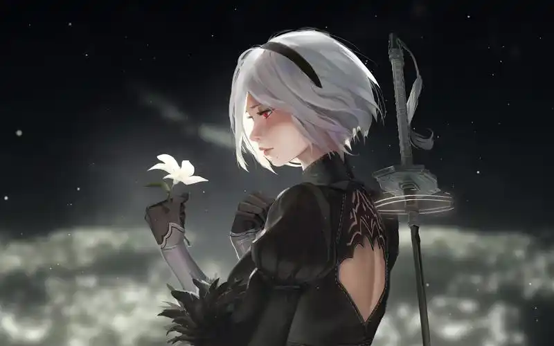 2b小姐姐_哔哩哔哩_bilibili