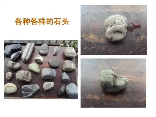 无忧文档 所有分类 小学教育 语文 二年级语文《神奇的石头》ppt 第12