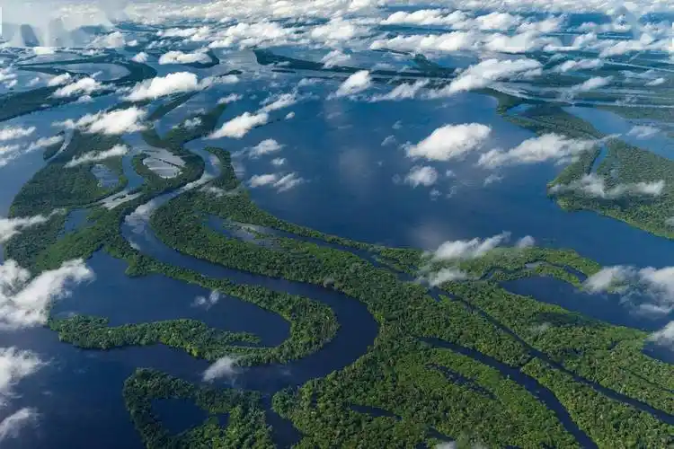 和长江相比亚马逊河有多可怕为什么至今没有一座桥敢跨越它