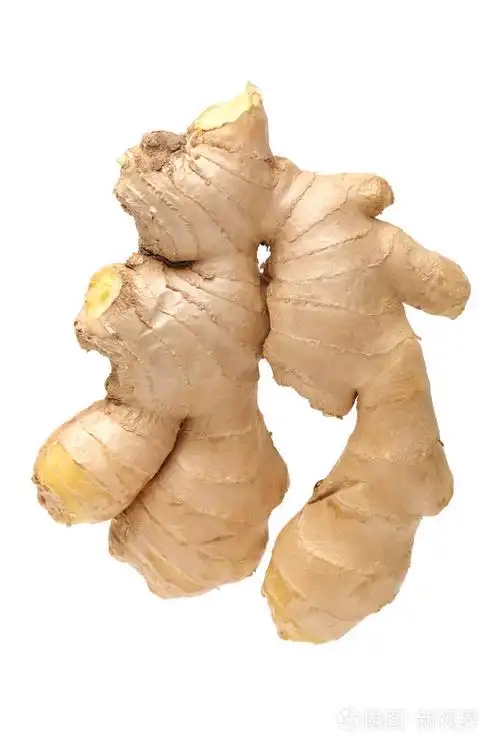 新鲜生姜