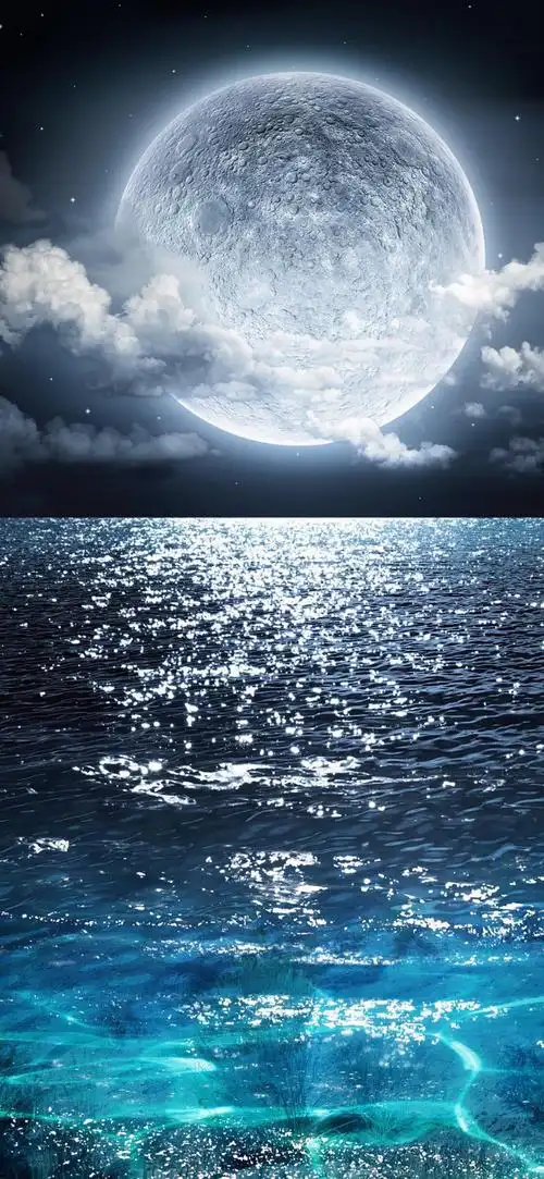 iphone x 高清壁纸