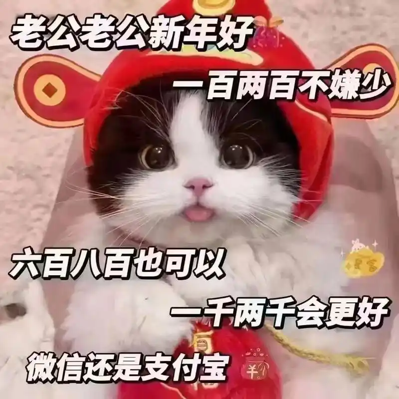 过年跟老公要红包表情包 - 抖音