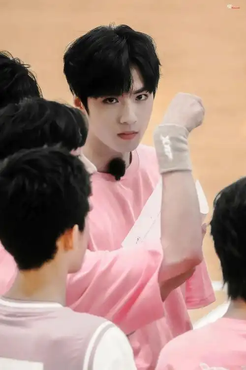 【夏季运动会】室内粉衣图片:natunight丨haru|月夜詩·刘耀文|海盐