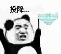 熊猫头举内裤投降_投降_熊猫_内裤_头举表情