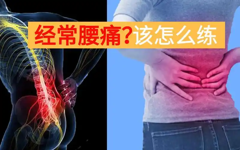 弯腰痛下腰痛腰背酸痛该怎么练缓解腰痛一招鲜的动作适用于腰椎段