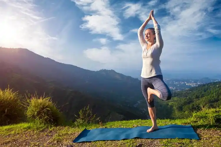 练瑜伽的女人公园野外草原草地草坪产后瑜伽产后瑜伽户外瑜伽