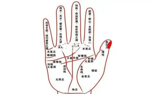 男生手相婚姻二婚男人手相有这些