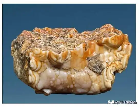 天下最贵玉石奇石(内蒙珍品奇石玉石一览)(12)