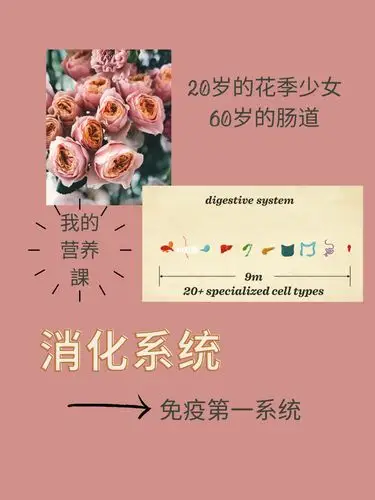 营养学20岁的花季少女60岁肠道年龄