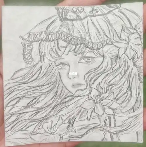 浅浅画了下酸梅的封面