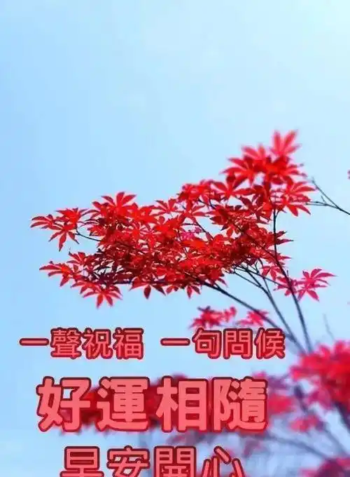 原创清晨早安表情问候祝福图片带字群发温馨的早安祝福语大全