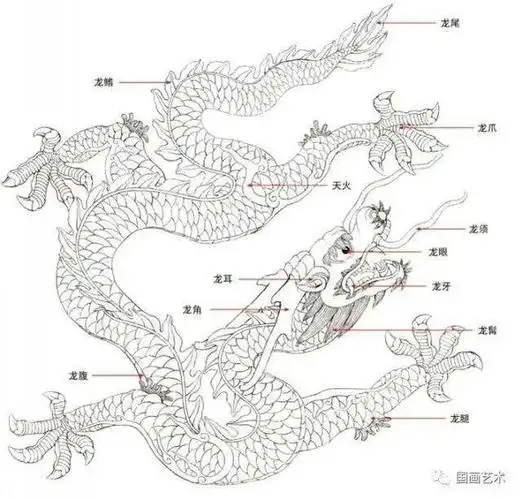 工笔龙画画法步骤示范含详细文字解析